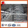 a&H Type Style Poultry Farm Chicken Cage